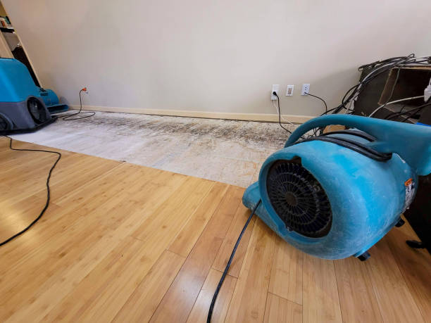 Professional Burst Pipe Water Damage technician working in Brookston, MN